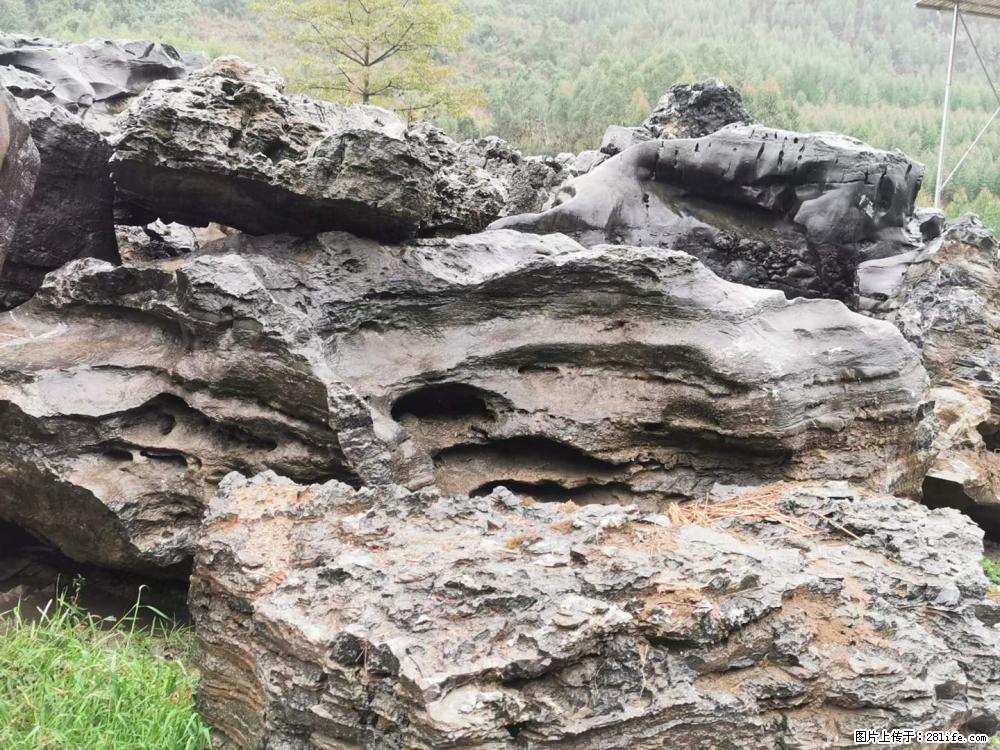 风景石、假山石大量有货，有需要的欢迎联系 - 新手上路 - 拉萨生活社区 - 拉萨28生活网 lasa.28life.net