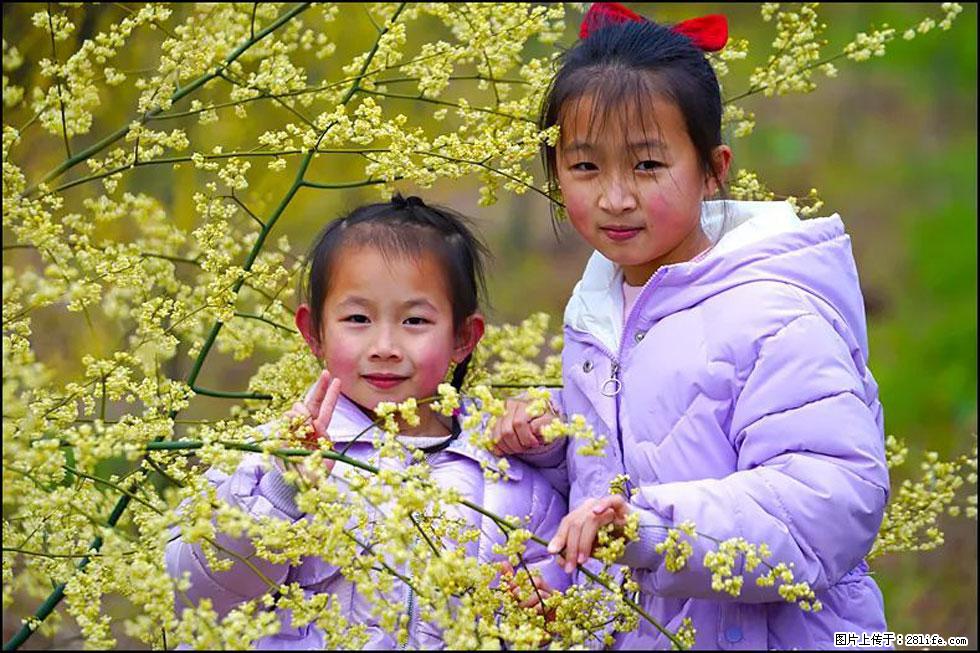 【春天，广西桂林灌阳县向您发出邀请！】米珠山前有片山苍子花在飘香 - 游山玩水 - 拉萨生活社区 - 拉萨28生活网 lasa.28life.net