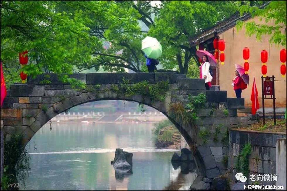 【春天，广西桂林灌阳县向您发出邀请！】江口老街又逢春 - 游山玩水 - 拉萨生活社区 - 拉萨28生活网 lasa.28life.net