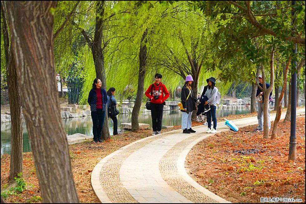 【春天，广西桂林灌阳县向您发出邀请！】江口老街又逢春 - 游山玩水 - 拉萨生活社区 - 拉萨28生活网 lasa.28life.net