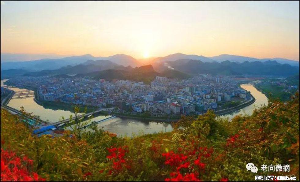 【春天，广西桂林灌阳县向您发出邀请！】登麒麟山，相约映山红 - 游山玩水 - 拉萨生活社区 - 拉萨28生活网 lasa.28life.net
