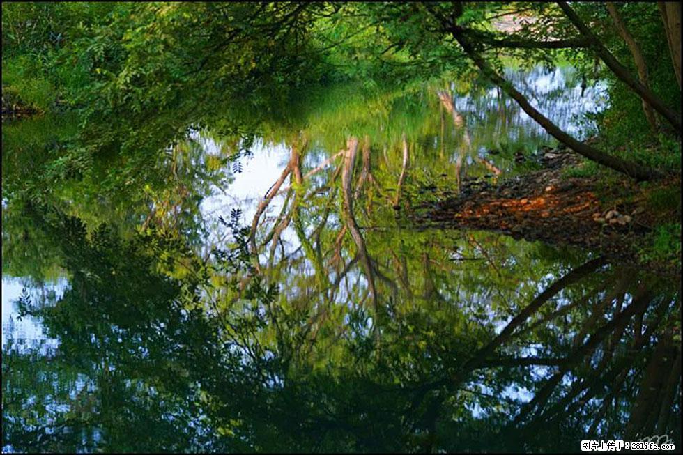 【春天，广西桂林灌阳县向您发出邀请！】熊家寨湿地公园 - 游山玩水 - 拉萨生活社区 - 拉萨28生活网 lasa.28life.net
