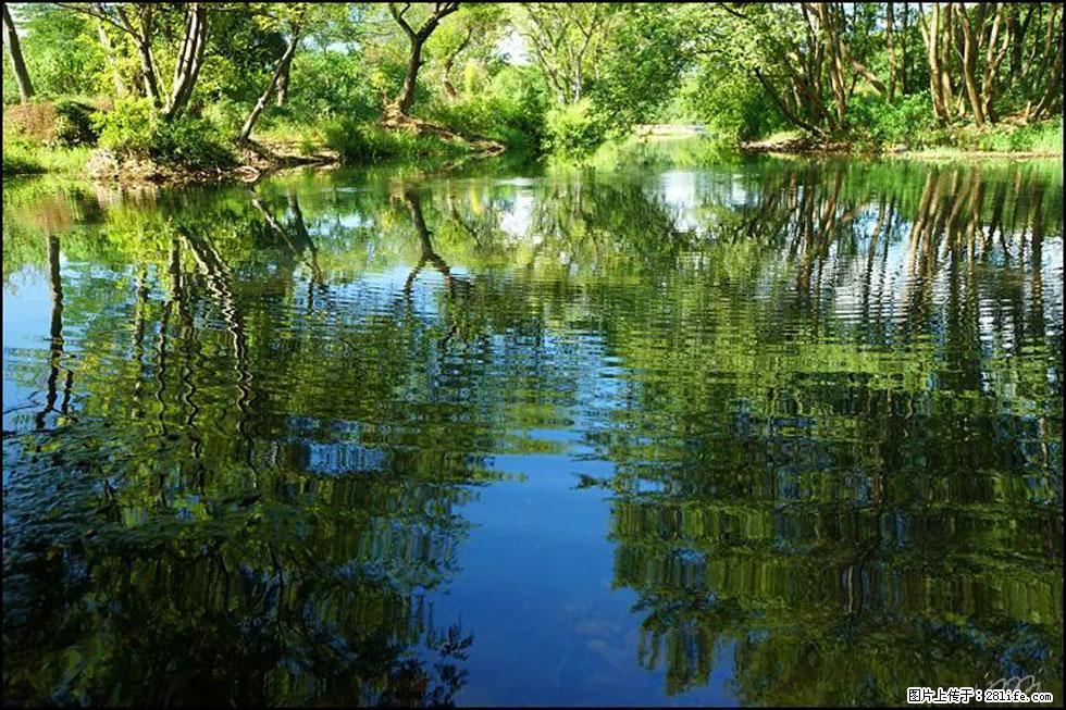 【春天，广西桂林灌阳县向您发出邀请！】熊家寨湿地公园 - 游山玩水 - 拉萨生活社区 - 拉萨28生活网 lasa.28life.net