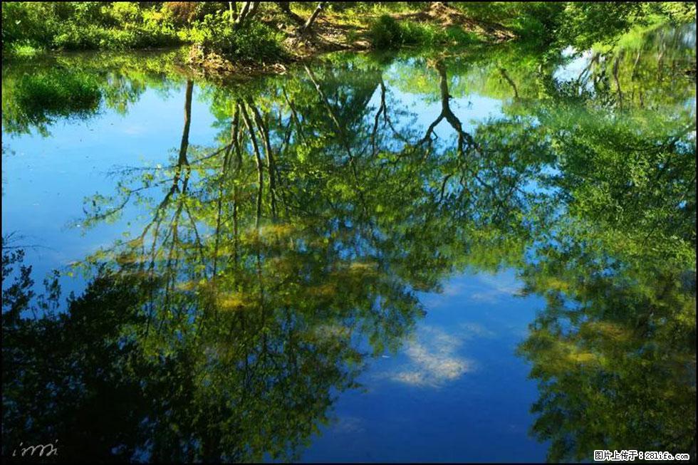 【春天，广西桂林灌阳县向您发出邀请！】熊家寨湿地公园 - 游山玩水 - 拉萨生活社区 - 拉萨28生活网 lasa.28life.net