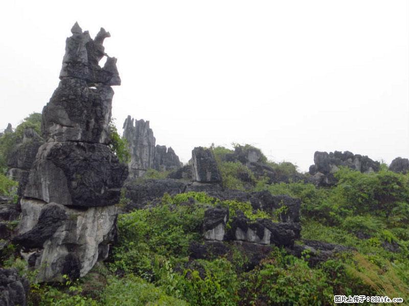 桂林旅游名城景点：灌阳文市石林 - 游山玩水 - 拉萨生活社区 - 拉萨28生活网 lasa.28life.net