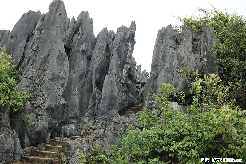 桂林旅游名城景点：灌阳文市石林 - 游山玩水 - 拉萨生活社区 - 拉萨28生活网 lasa.28life.net