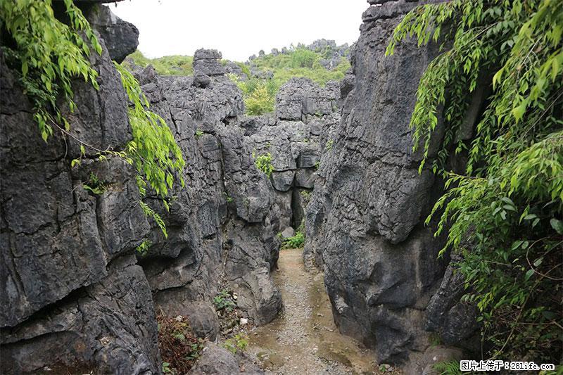 桂林旅游名城景点：灌阳文市石林 - 游山玩水 - 拉萨生活社区 - 拉萨28生活网 lasa.28life.net