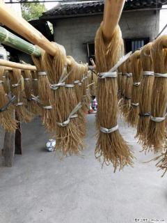 【灌阳正宗红薯粉】美女家里自己做的，干净卫生，假一赔十，价格合理，抢购电话：13737312895 - 拉萨28生活网 lasa.28life.net