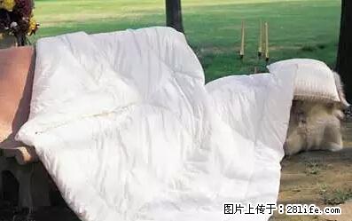 被子有异味？只要这样做，比晒太阳还强100倍！ - 家居生活 - 拉萨生活社区 - 拉萨28生活网 lasa.28life.net