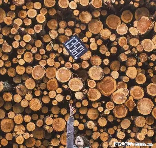辞掉工作周游世界？现在他们在洗厕所…… - 游山玩水 - 拉萨生活社区 - 拉萨28生活网 lasa.28life.net
