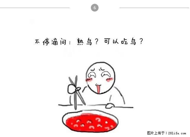 千万不要和这9种哈卵一起吃火锅！ - 美食天地 - 拉萨生活社区 - 拉萨28生活网 lasa.28life.net