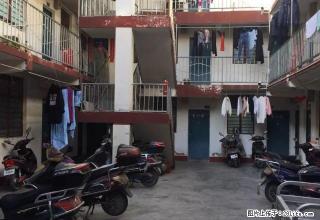 统建社区三层单身公寓（48套单间整体出租）年付50万 - 拉萨28生活网 lasa.28life.net
