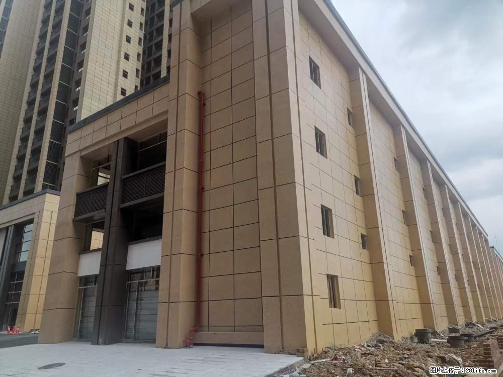 【广西三象建筑安装工程有限公司】外墙涂料工程 - 新手上路 - 拉萨生活社区 - 拉萨28生活网 lasa.28life.net