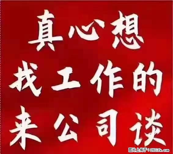 【上海】国企，医院招两名男保安，55岁以下，身高1.7米以上，无犯罪记录不良嗜好 - 职场交流 - 拉萨生活社区 - 拉萨28生活网 lasa.28life.net