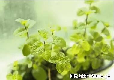 晕车、脚气、牙齿变黄、皮肤粗糙？学会这些三分钟搞定！ - 拉萨生活资讯 - 拉萨28生活网 lasa.28life.net