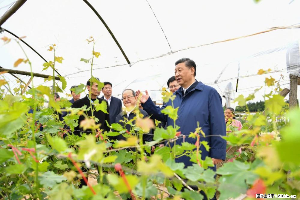 习近平赴广西考察调研 - 拉萨生活资讯 - 拉萨28生活网 lasa.28life.net