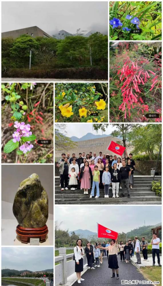 “粤灌文化 美好生活”油茶文化主题活动在广东深圳成功举办 - 拉萨生活资讯 - 拉萨28生活网 lasa.28life.net