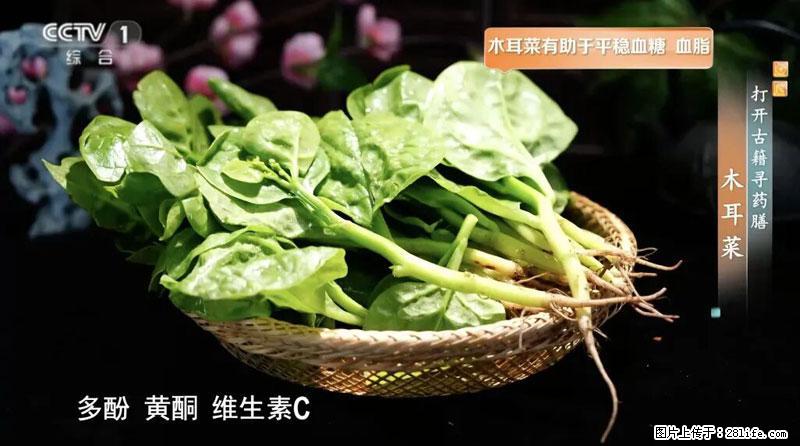 比牛奶补钙还厉害！凉血解毒、稳血糖...这菜冬天必吃，很多人却当草 - 拉萨生活资讯 - 拉萨28生活网 lasa.28life.net