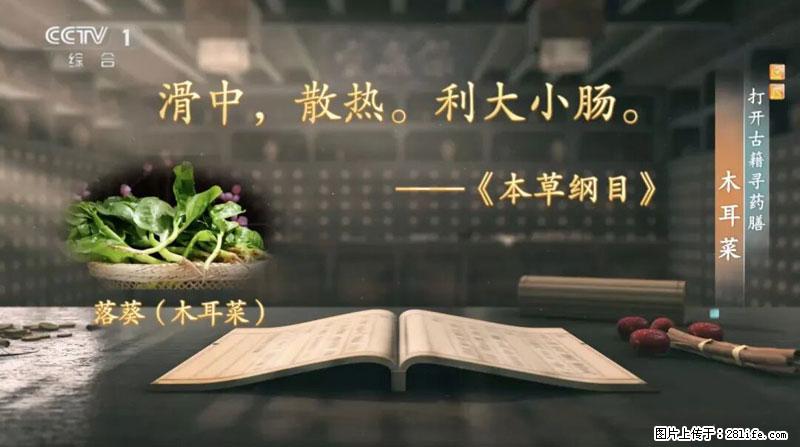 比牛奶补钙还厉害！凉血解毒、稳血糖...这菜冬天必吃，很多人却当草 - 拉萨生活资讯 - 拉萨28生活网 lasa.28life.net