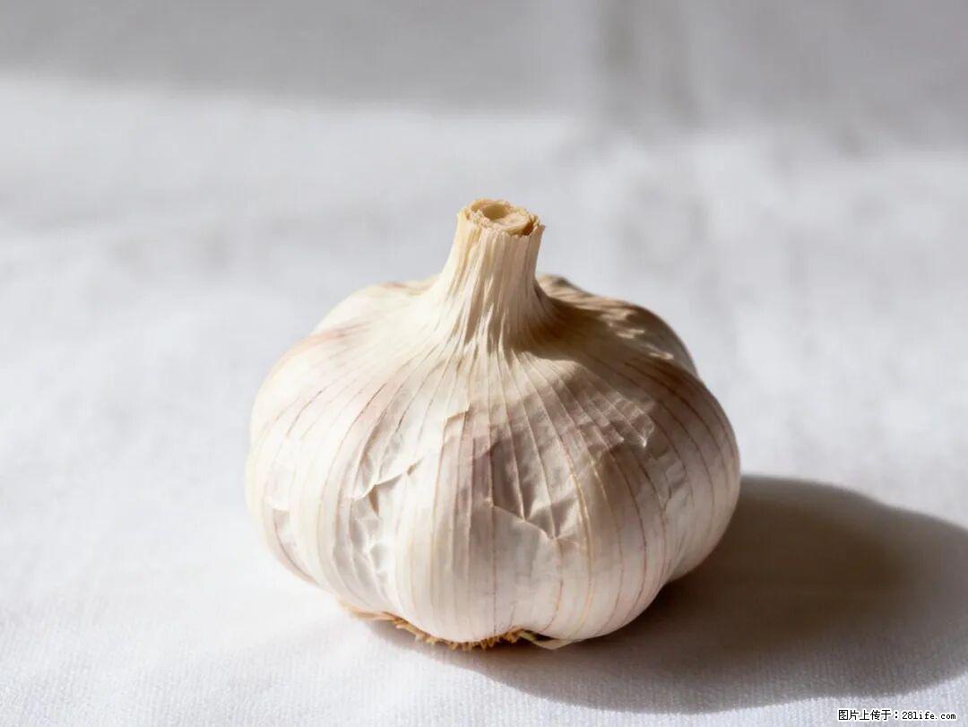 关于大蒜，除了“天然抗生素”，这4个谣言更该警惕! - 拉萨生活资讯 - 拉萨28生活网 lasa.28life.net