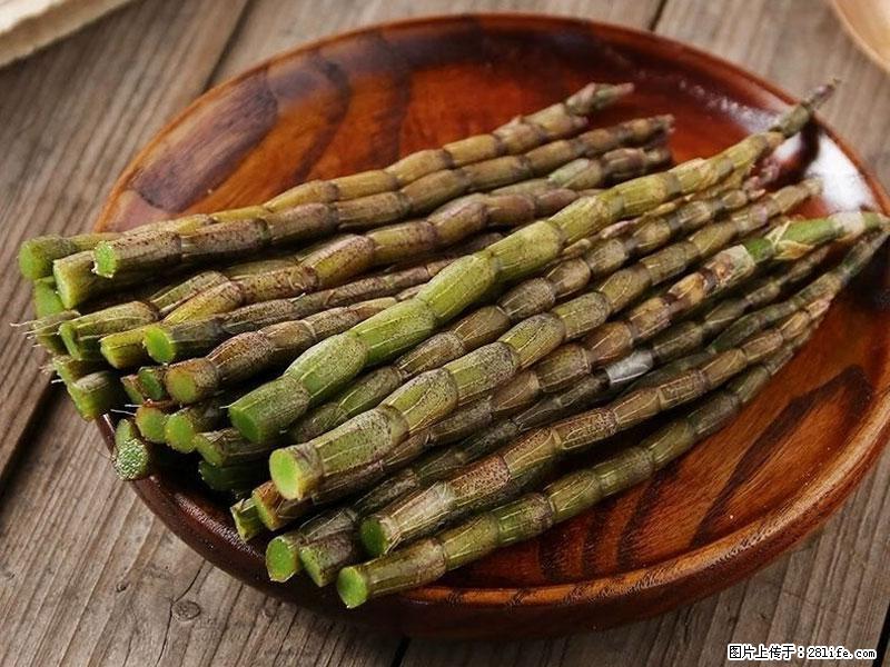 铁皮石斛的作用与功能主治 - 拉萨生活资讯 - 拉萨28生活网 lasa.28life.net